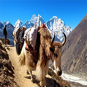 Sagarmatha